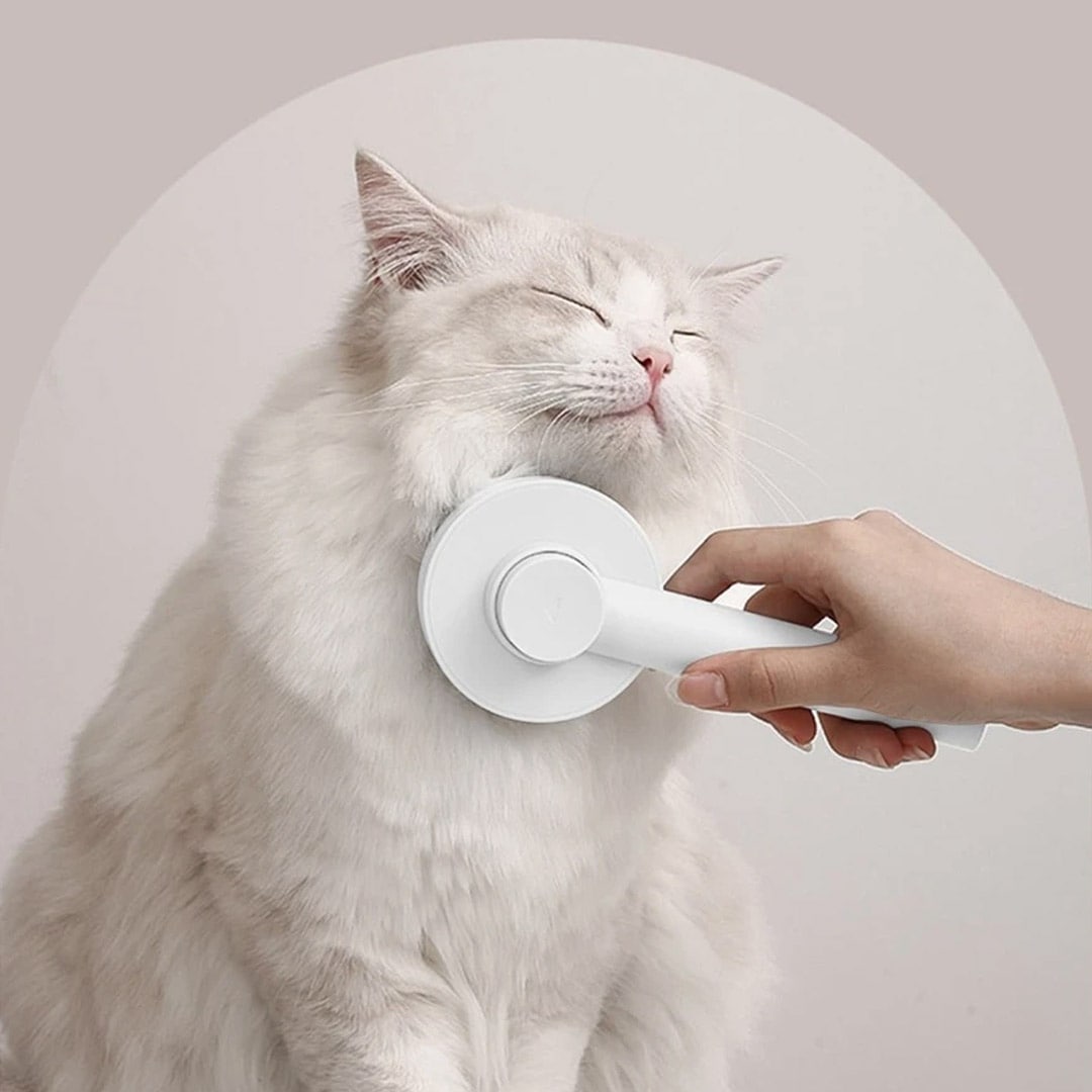 Cepillo Push para gatos