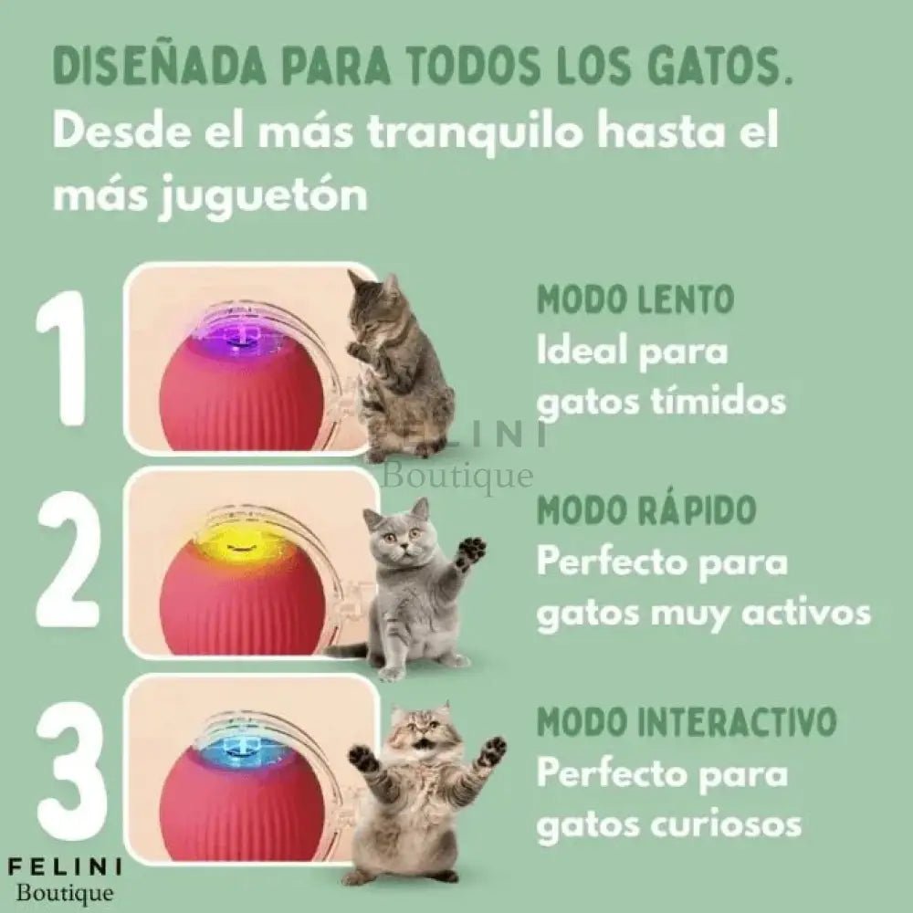 ChaseBall 100% Inteligente - Boutique Felini