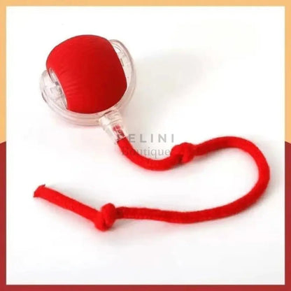 ChaseBall 100% Inteligente - Boutique Felini