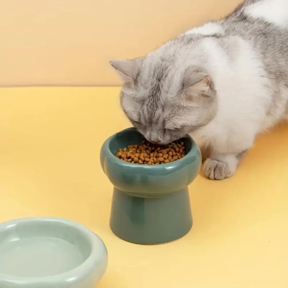 Comedero bebedero elevado cerámica para gatos Bonzai - Boutique Felini