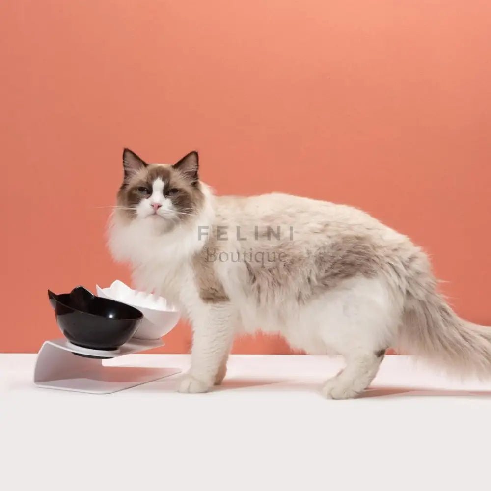 Comedero doble Kitty - Boutique Felini