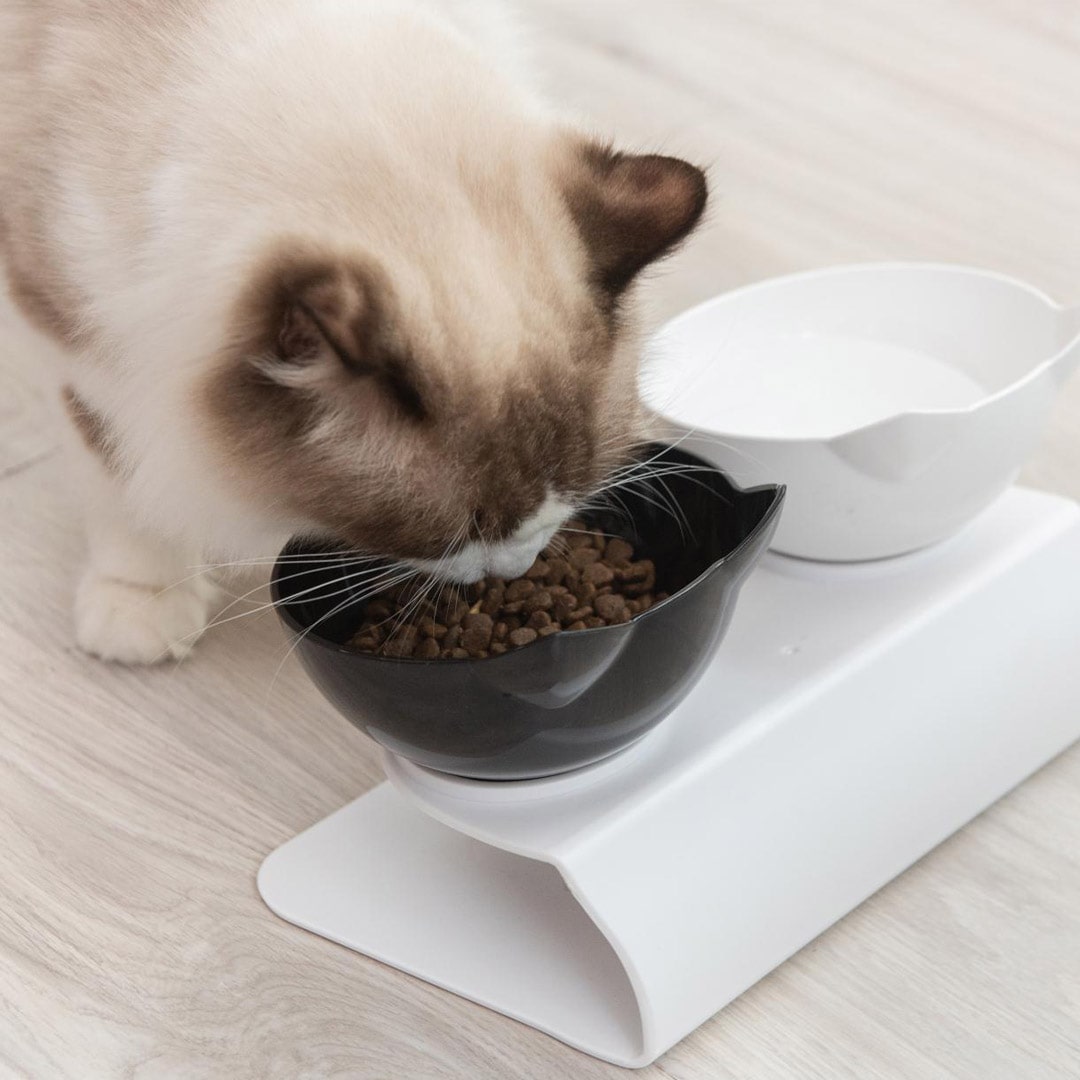 Comedero doble Kitty