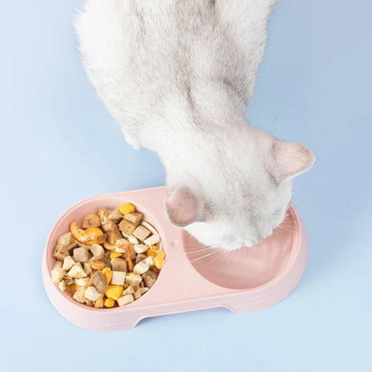 Comedero doble para gatos Colours