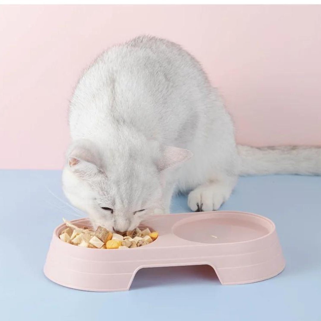 Comedero doble para gatos Colours