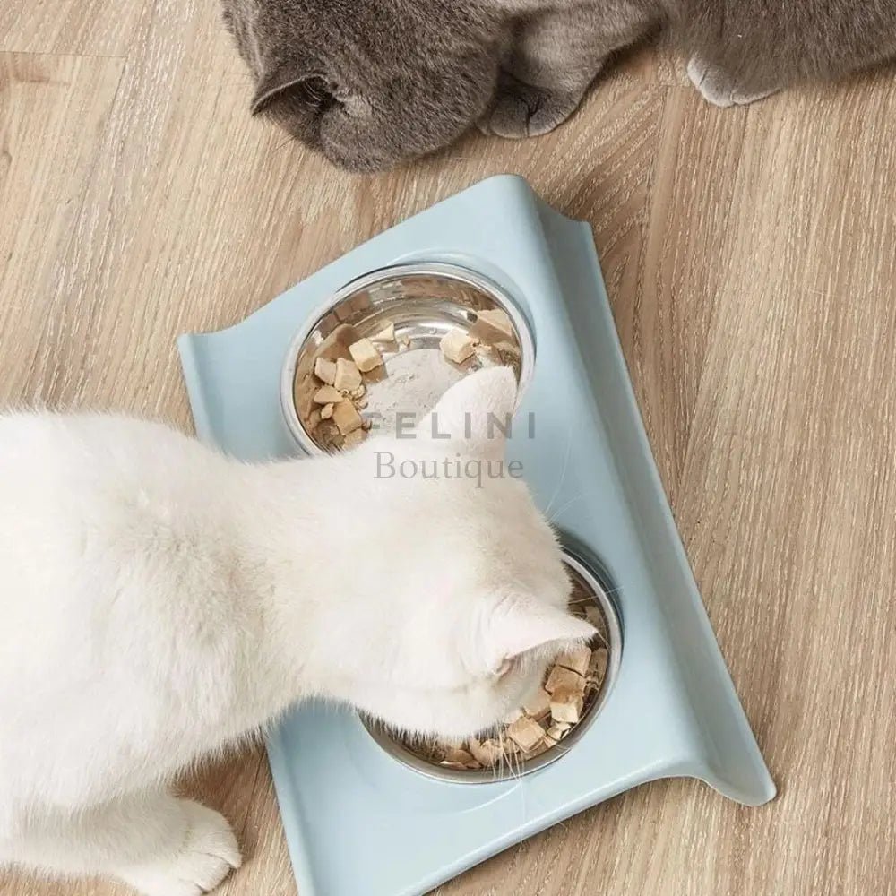 Cuenco doble de comida Cute para gatos - Boutique Felini