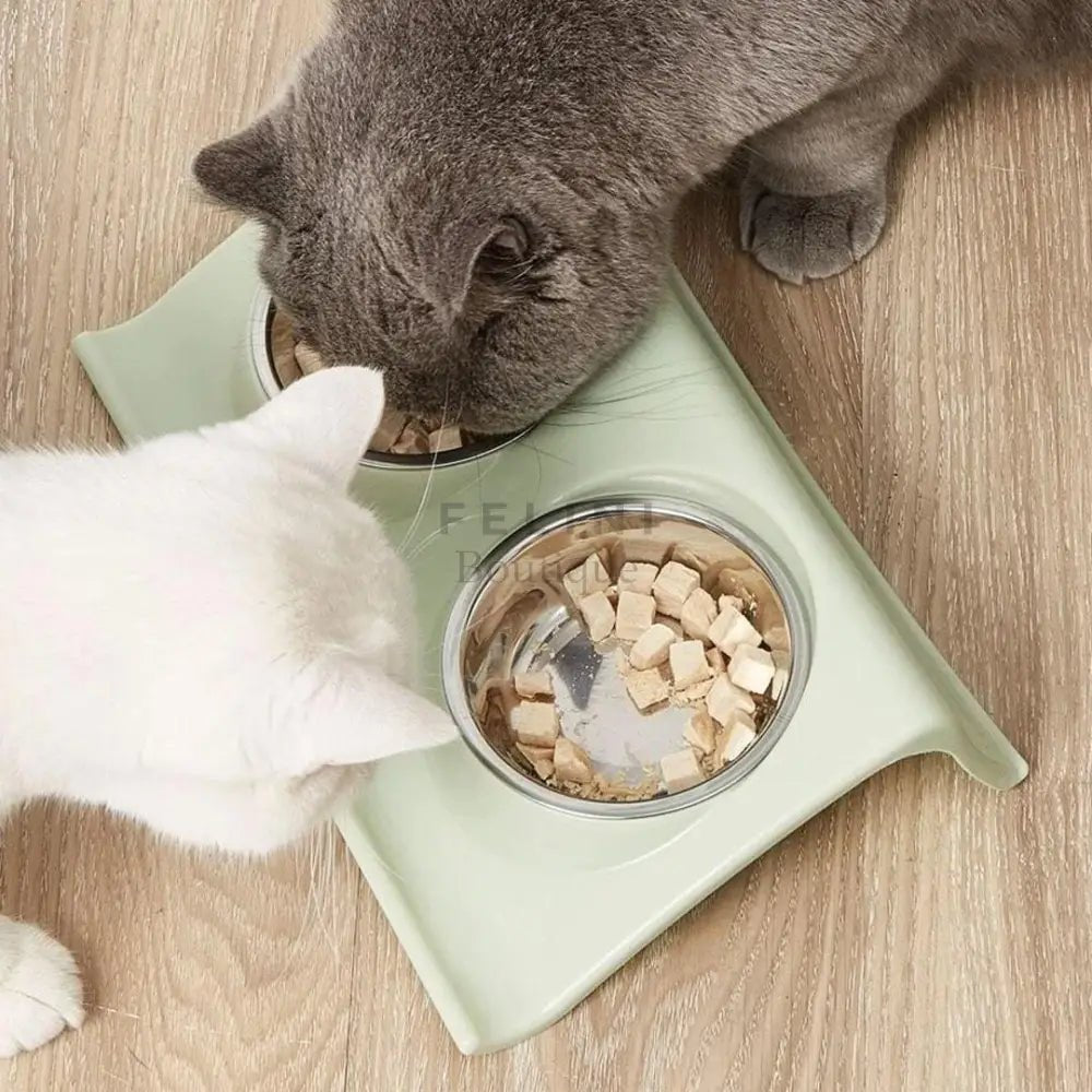 Cuenco doble de comida Cute para gatos - Boutique Felini