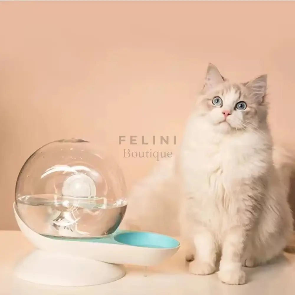 Dispensador fuente automática de agua Fresh recirculante - Boutique Felini