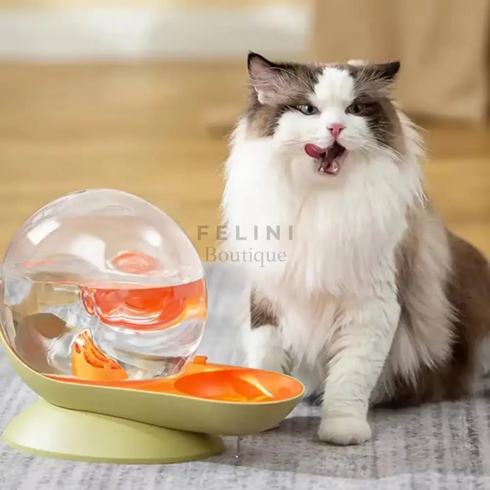 Dispensador fuente automática de agua Fresh recirculante - Boutique Felini