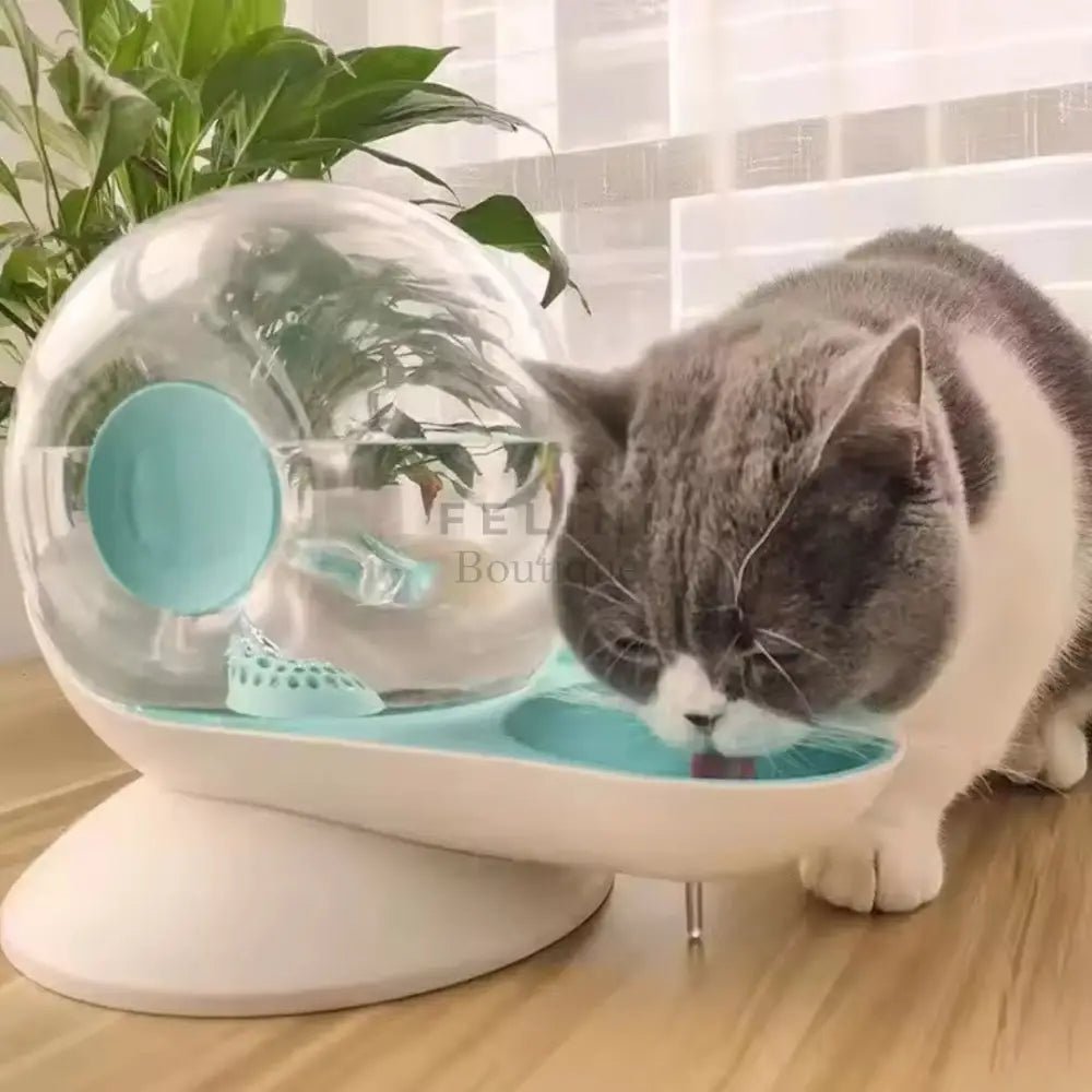 Dispensador fuente automática de agua Fresh recirculante - Boutique Felini