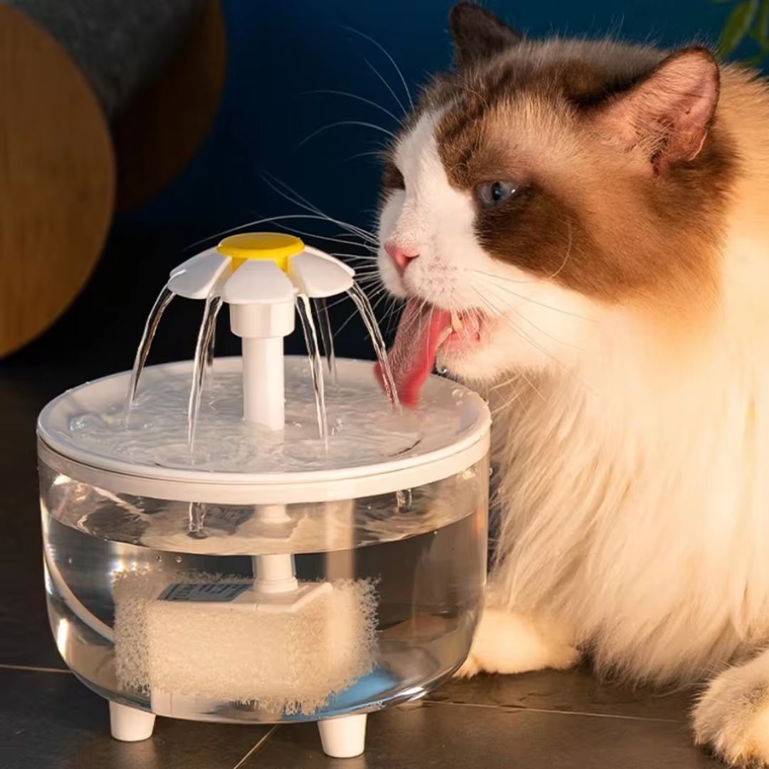 Fuente dispensador de agua automática recirculante SunFlower para gatos