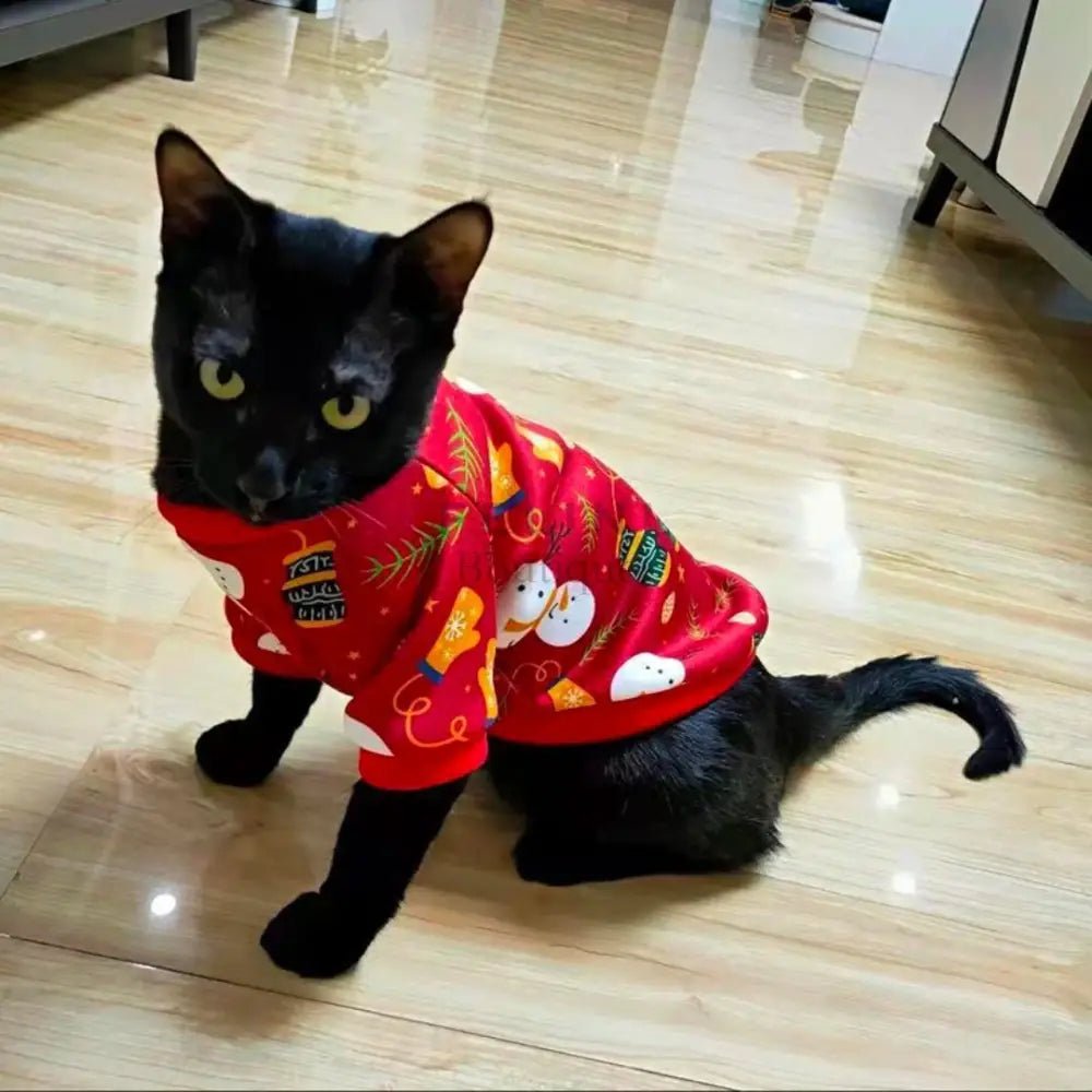 Jersey Suéter cálido Colorful para gatos - Boutique Felini