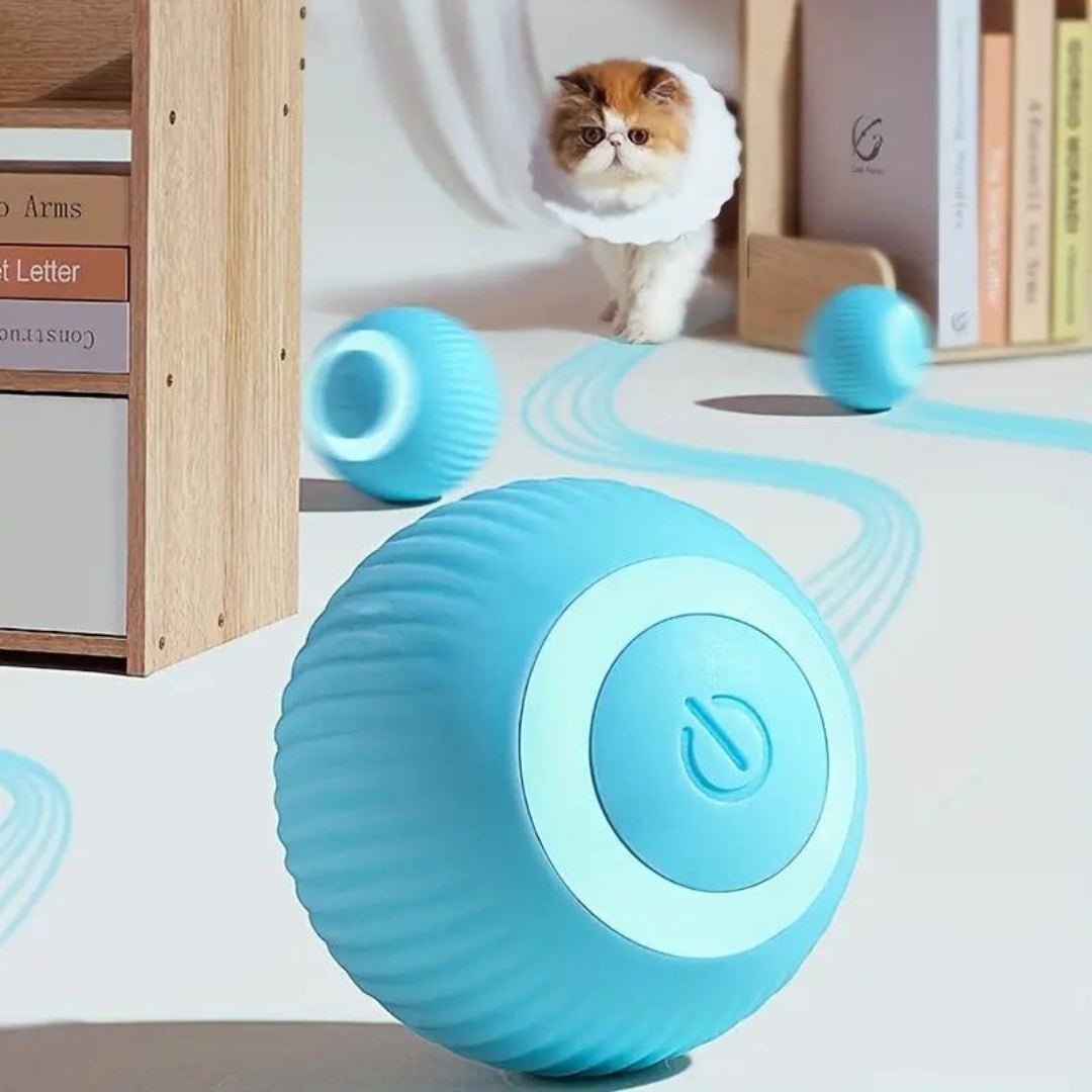 Bola interactiva BalanceCat inteligente