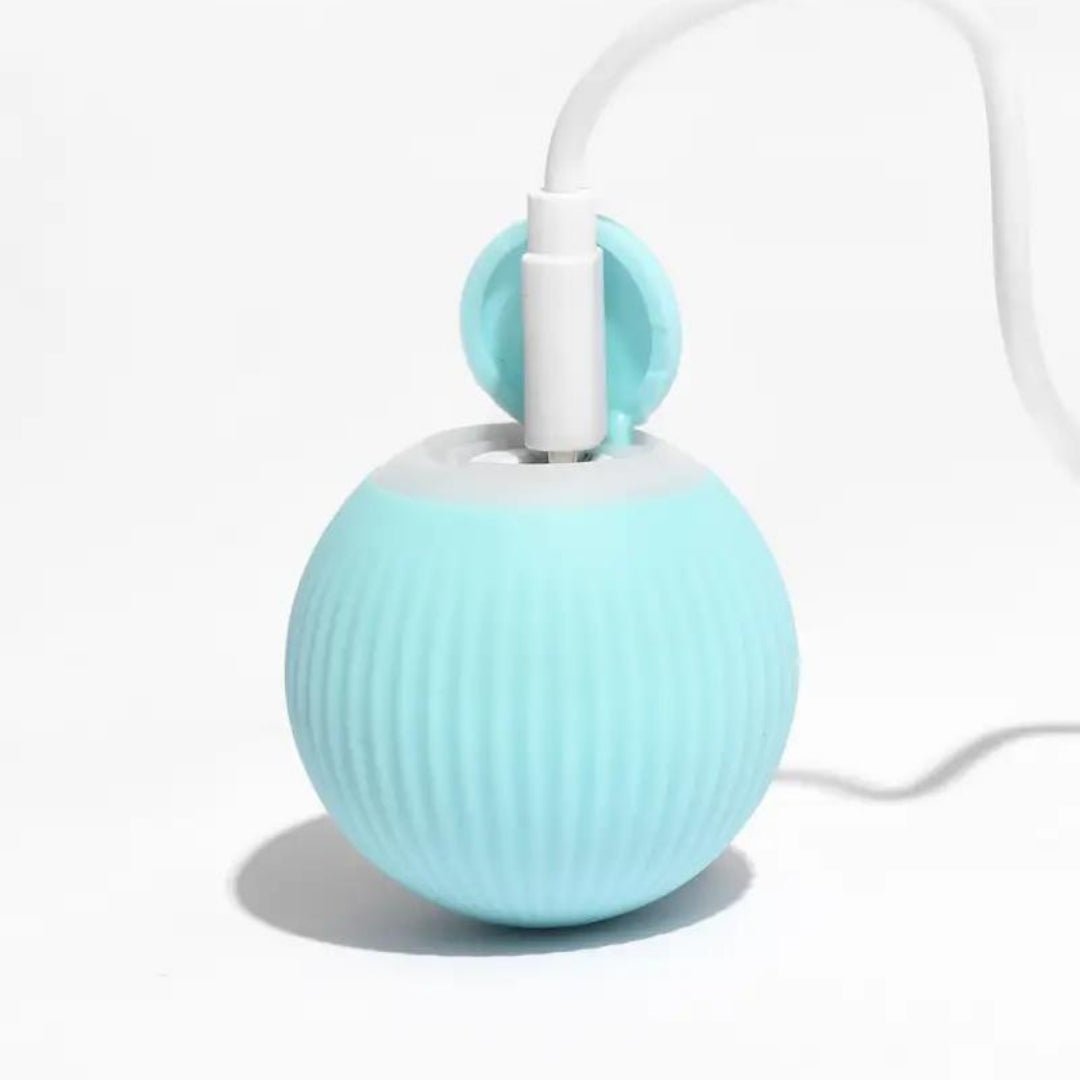 Bola interactiva BalanceCat inteligente