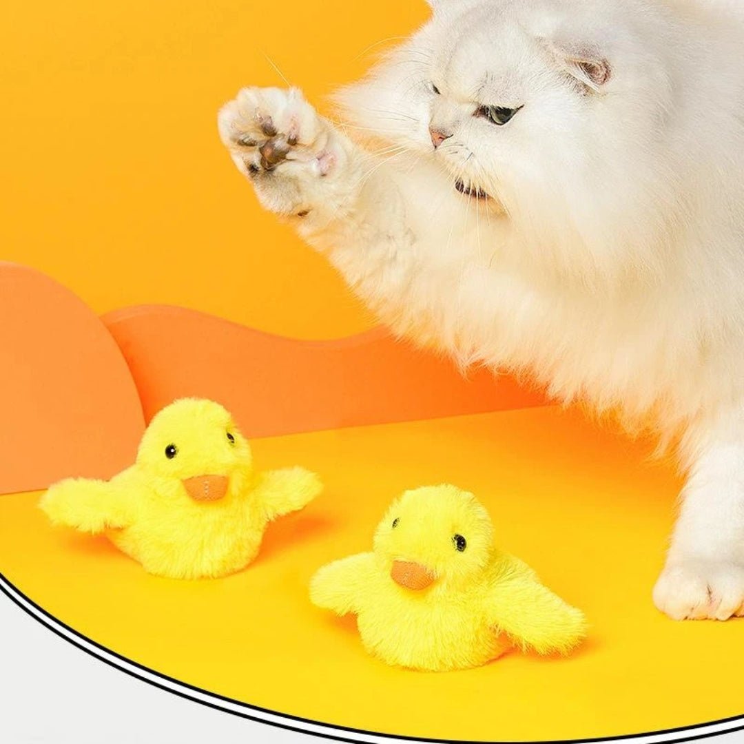 Juguete interactivo pato Donald para gatos