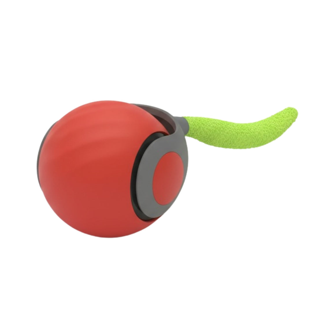 Jugete pelota inteligente Correcaminos para gatos
