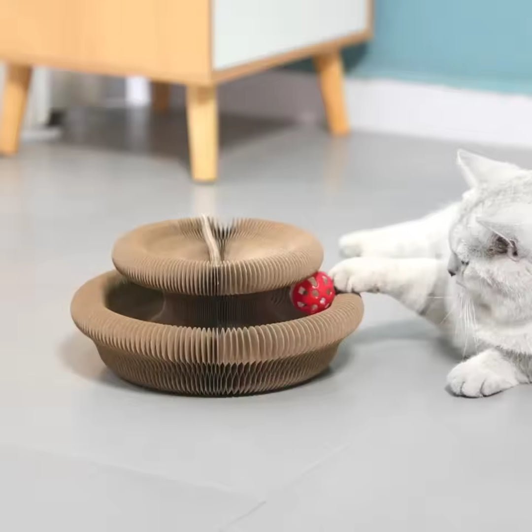 Rascador interactivo plegable Acordeón para gatos