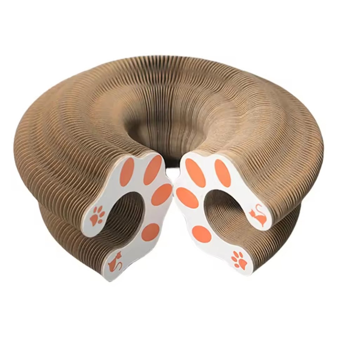 Acordeón interactivo plegable