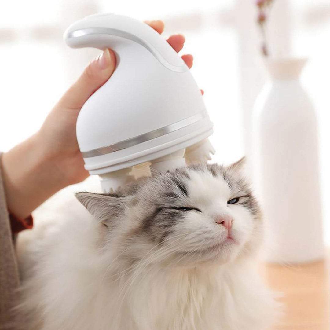 Masajeador eléctrico Honey para gatos