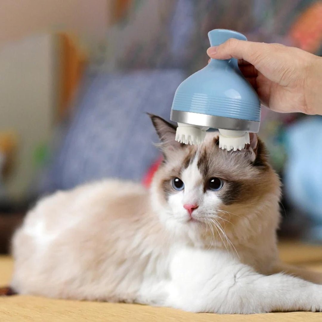 Masajeador eléctrico Zen para gatos