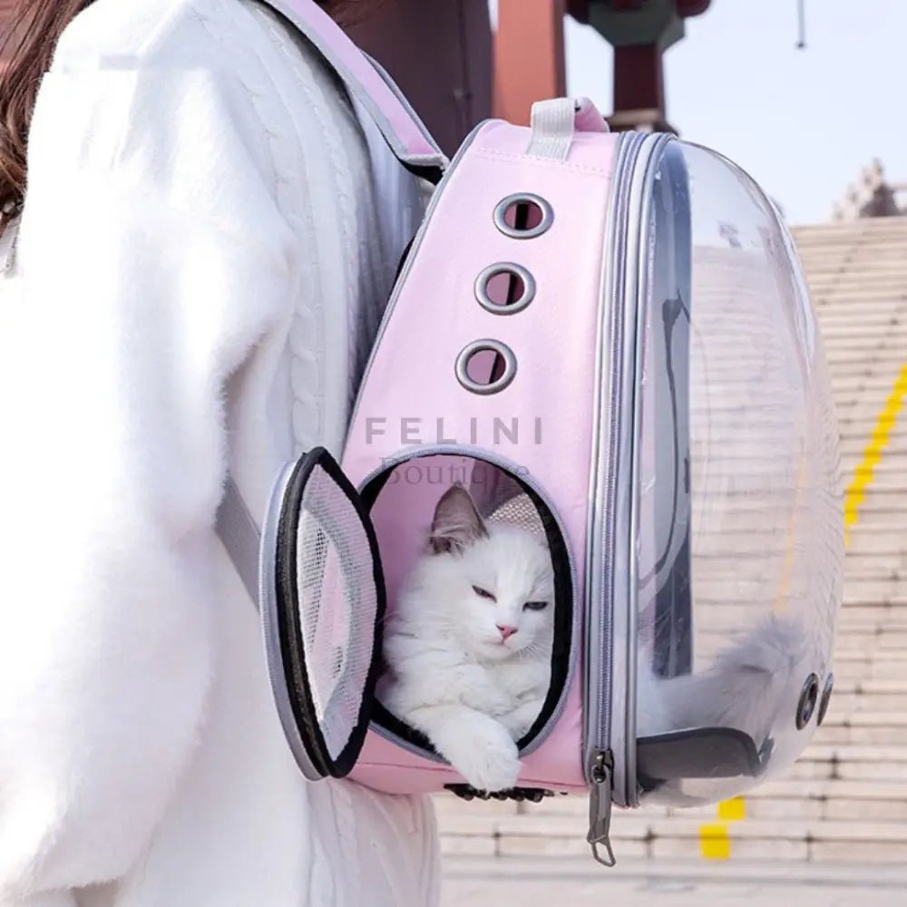 Mochila de viaje transparente Asteroid - Boutique Felini