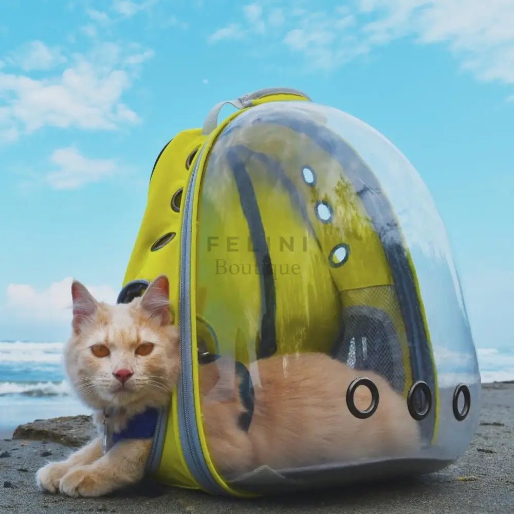 Mochila de viaje transparente Asteroid - Boutique Felini