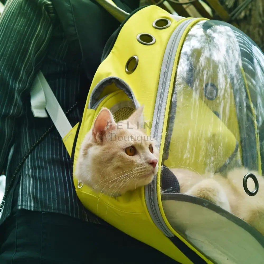 Mochila de viaje transparente Asteroid - Boutique Felini