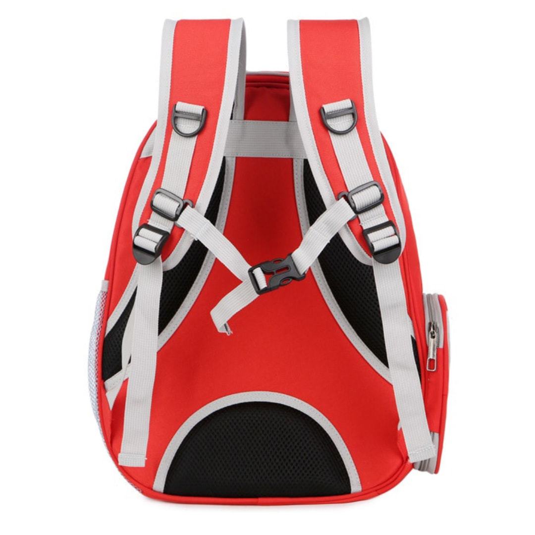 Mochila de viaje transparente Asteroid