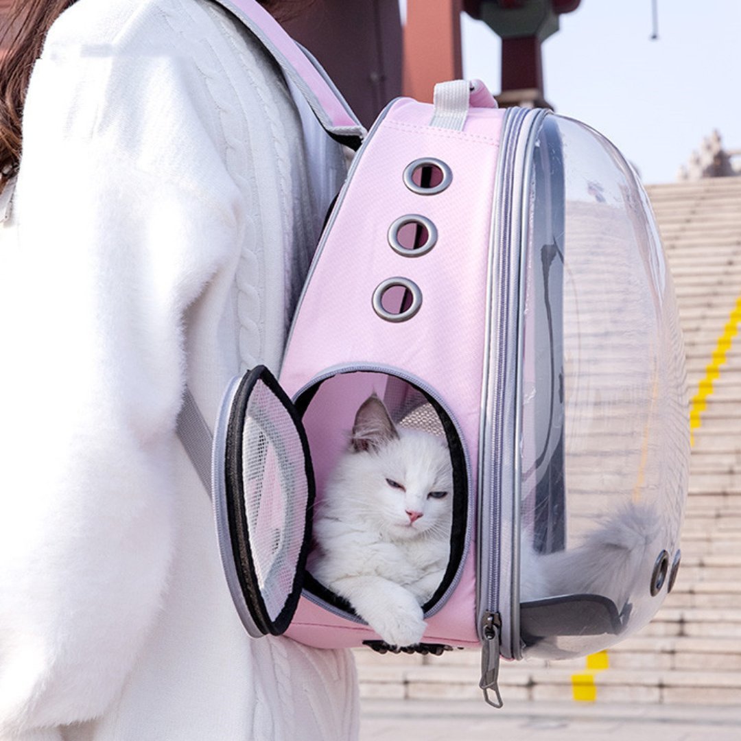 Mochila de viaje transparente Asteroid