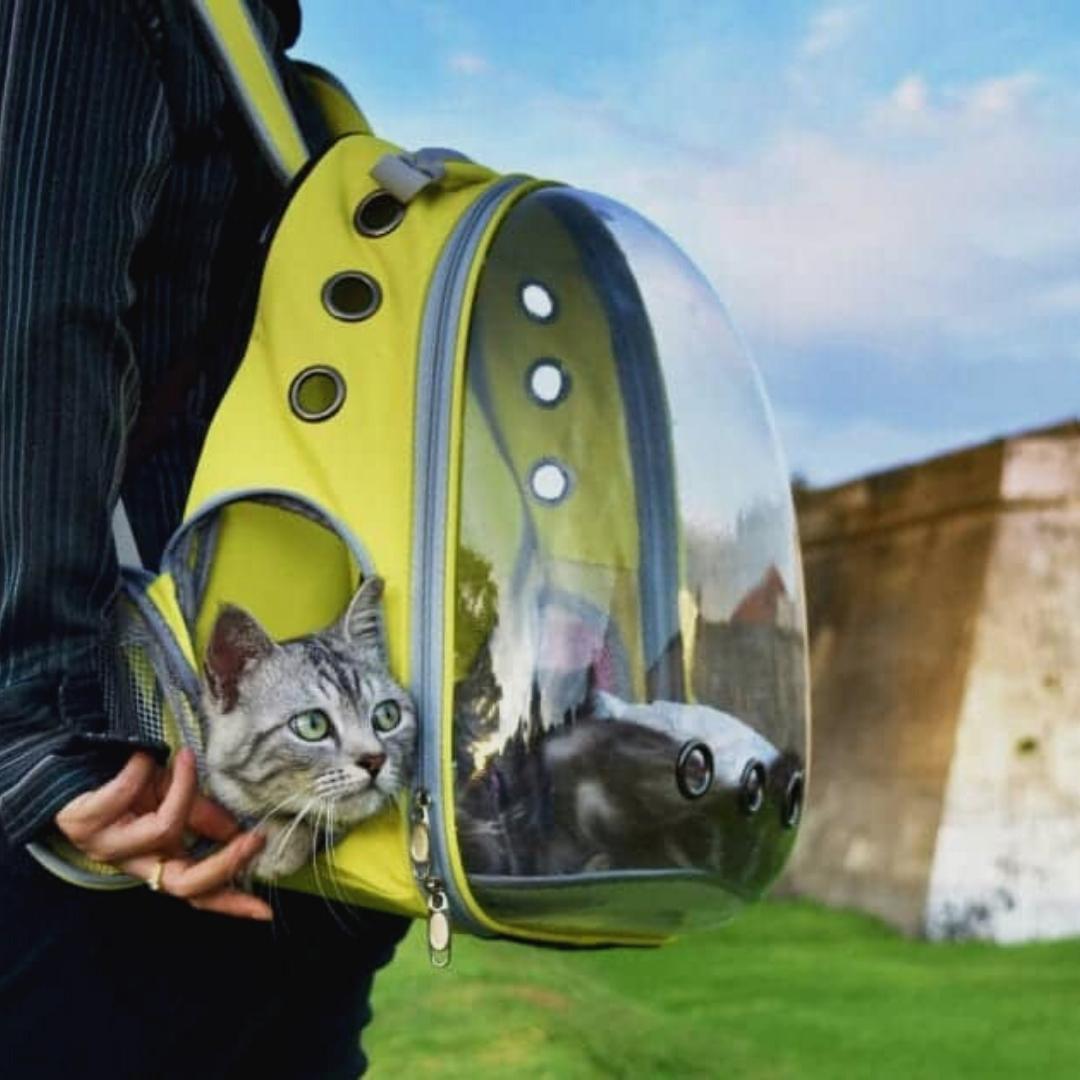 Mochila de viaje transparente Asteroid