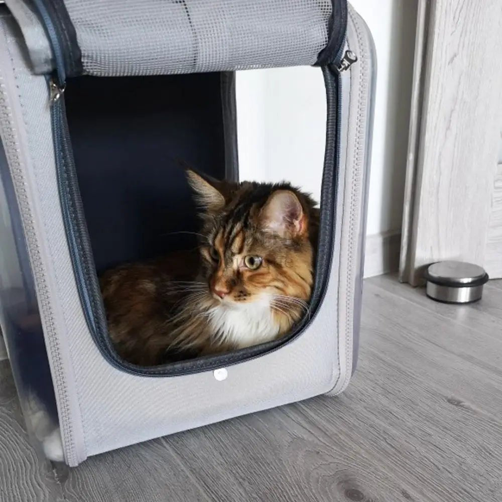 Mochila viajera porta gatos Confort - Boutique Felini