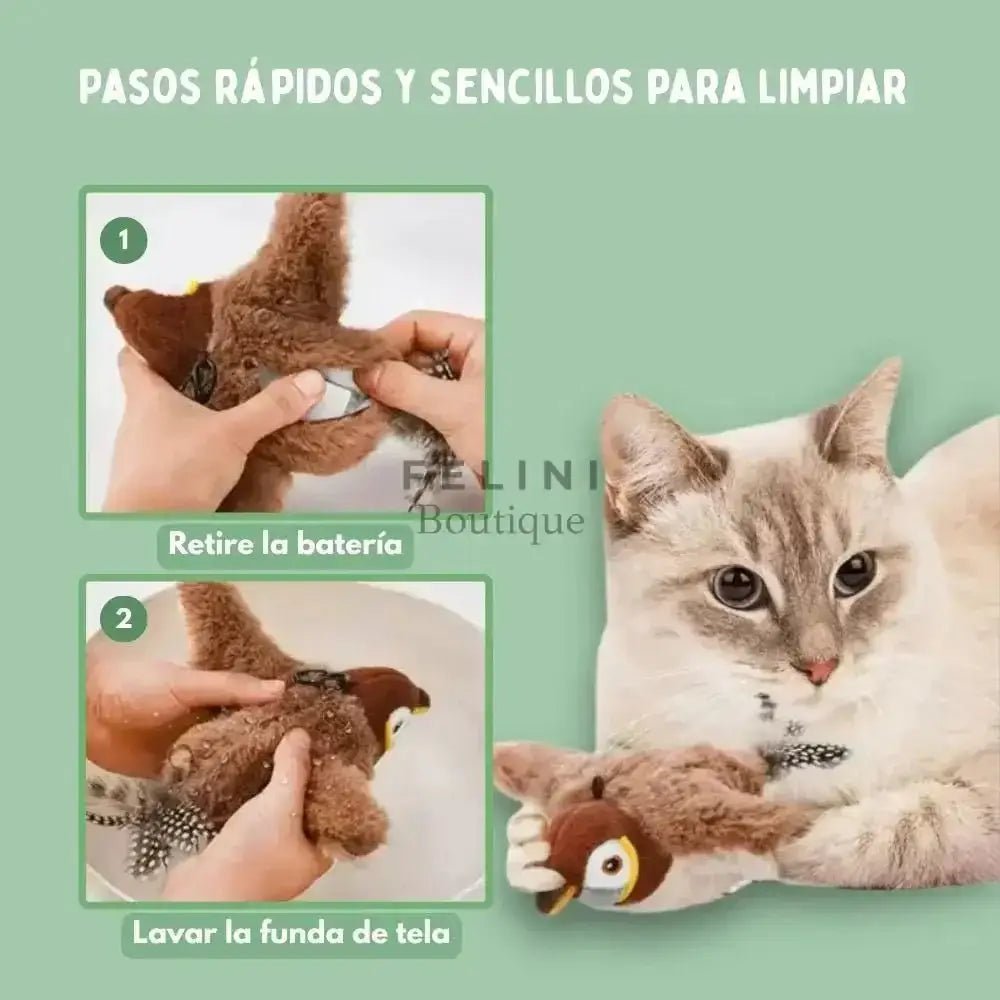 Pájaro interactivo para gatos - Boutique Felini