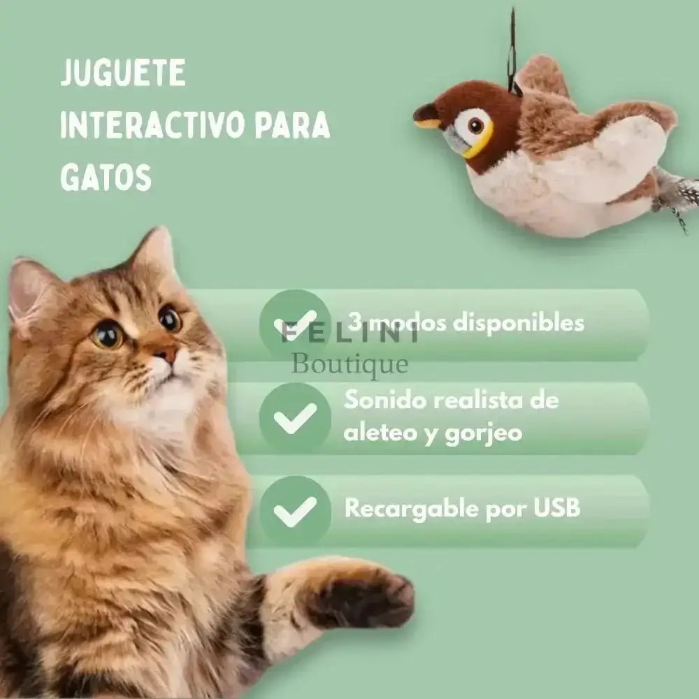 Pájaro interactivo para gatos - Boutique Felini