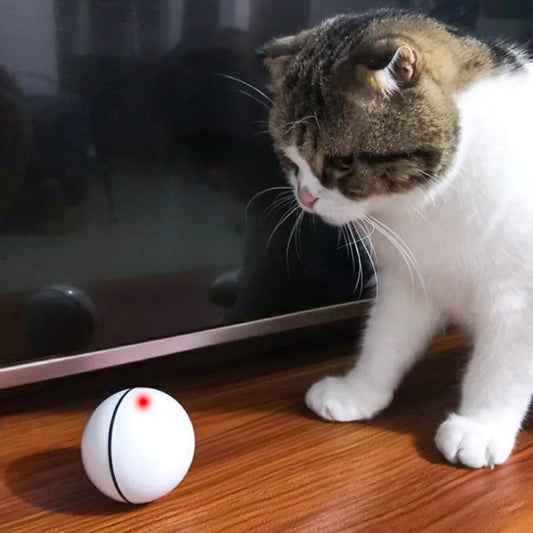 Pelota automática interactiva para gatos con carga USB