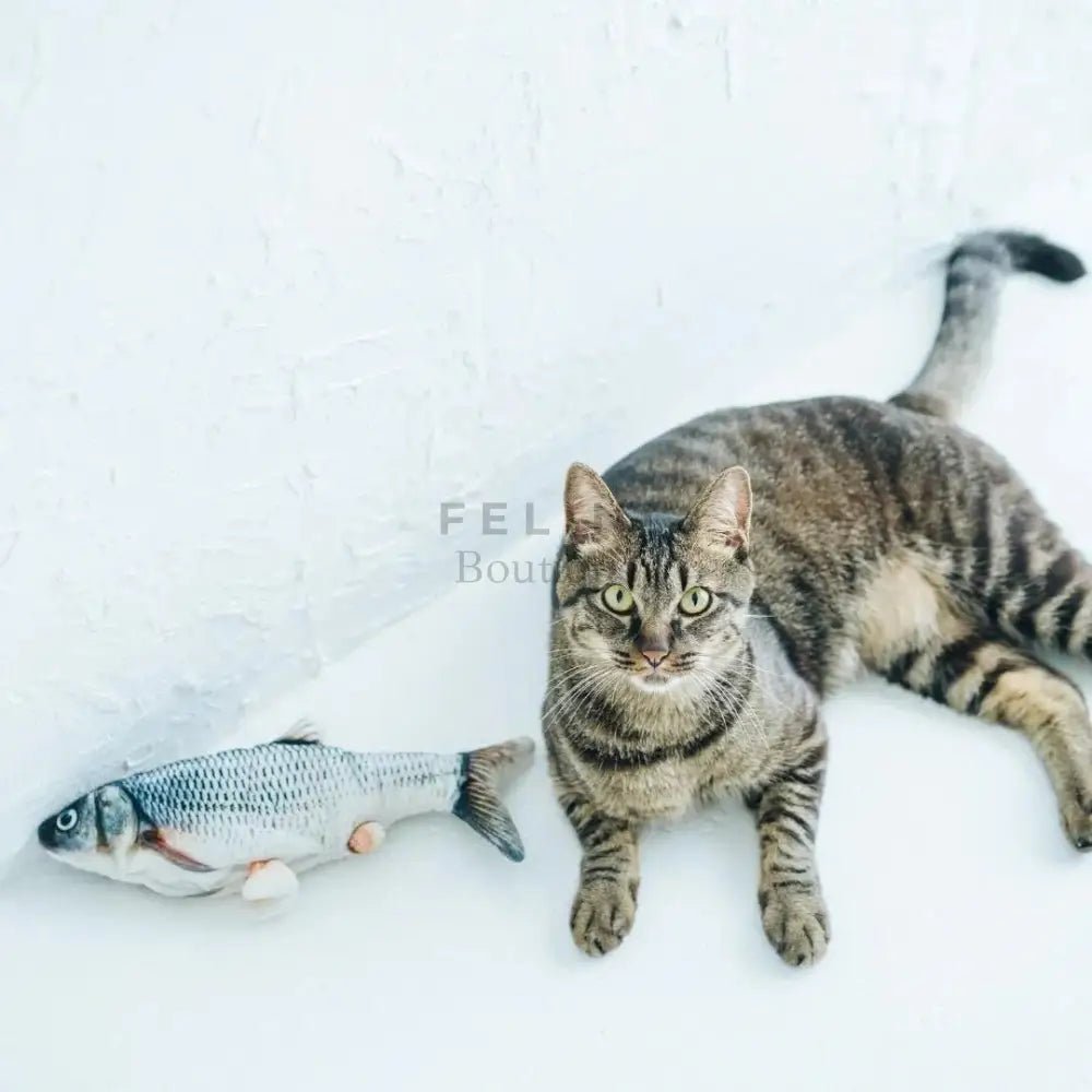 Pez Eléctrico Interactivo - Boutique Felini