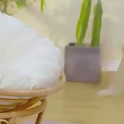 Dispensador fuente automática de agua Fresh recirculante para gatos