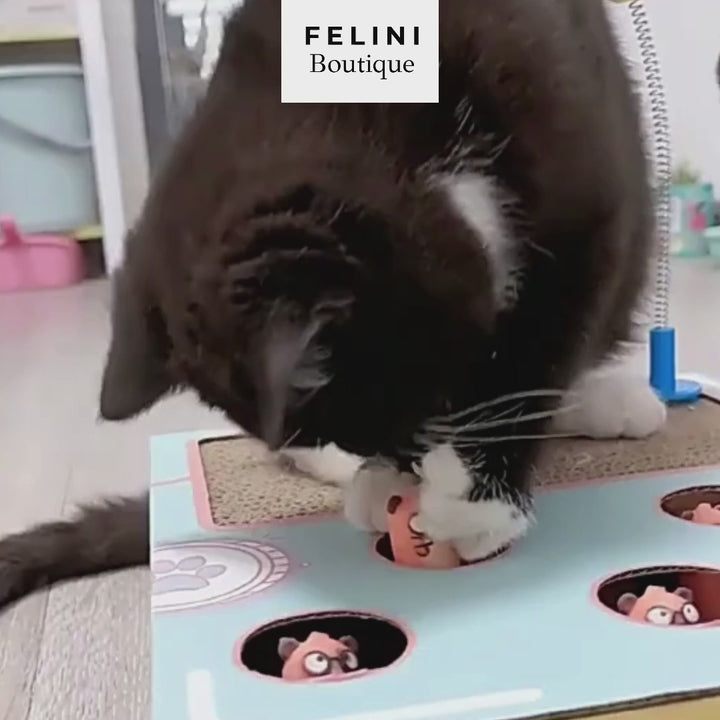 Juguete '¡Atrapa al ratón!' con rascador