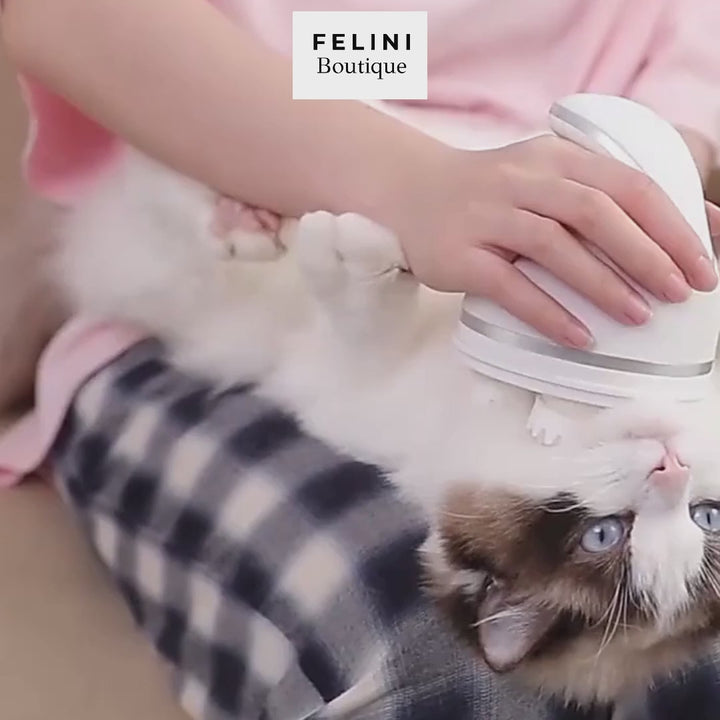 Masajeador eléctrico Honey