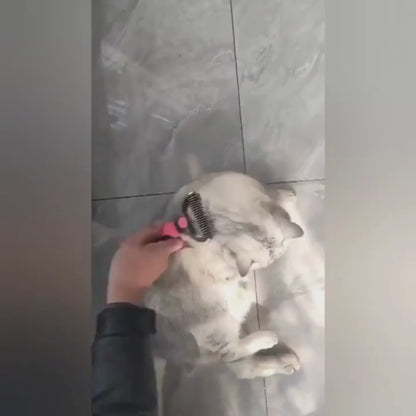 Cepillo deslanador Nudoff de acero inoxidable para gatos