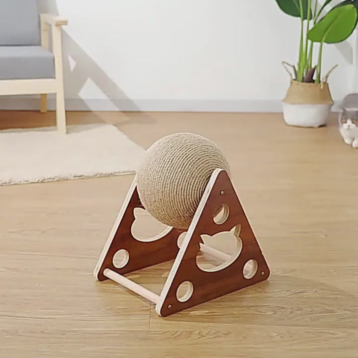 Bola rascador Cartoon