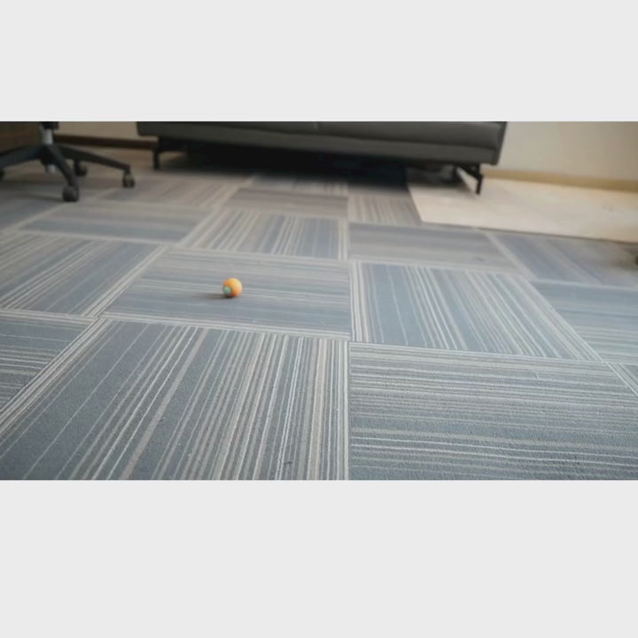 Bola interactiva BalanceCat PRO inteligente