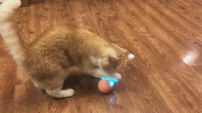 Pelota interactiva NinjaCat con luces LED