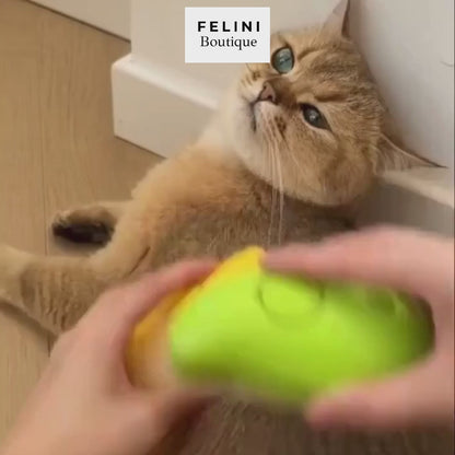 Cepillo de vapor para gatos eléctrico pulverizador Relax 3 usos en 1 peine con agua