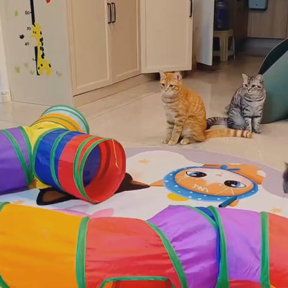 Tunel interactivo Rainbow