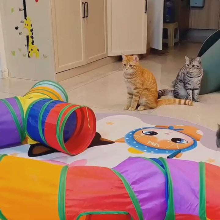 Tunel interactivo Rainbow