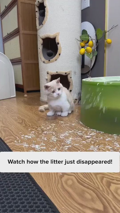 Alfombrilla para arena de gato para mascotas, suministros para mascotas, alfombrilla doble de EVA para arena de gato