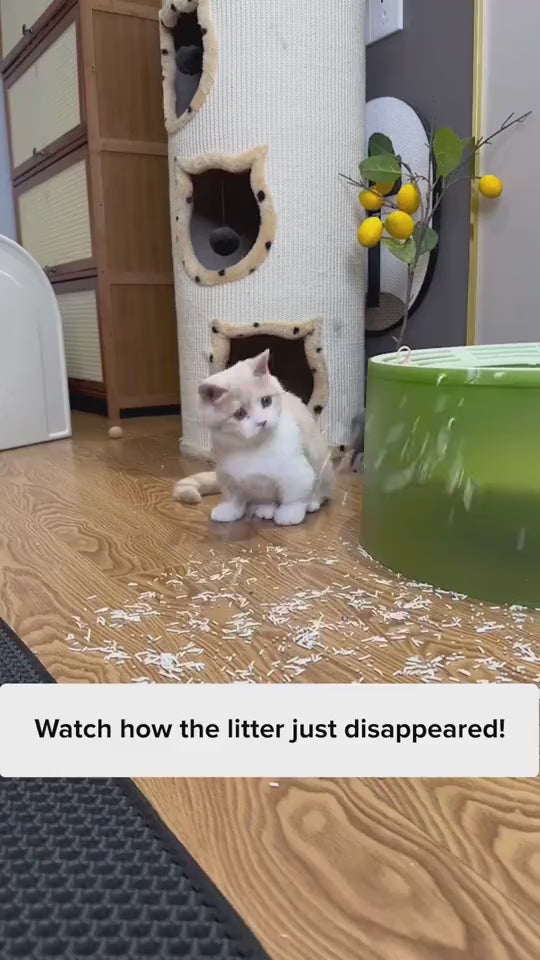 Alfombrilla para arena de gato para mascotas, suministros para mascotas, alfombrilla doble de EVA para arena de gato