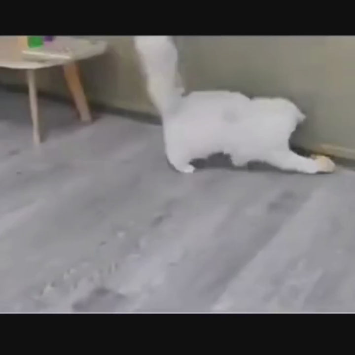 Ratón Mickey inteligente