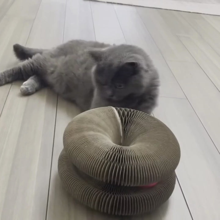 Rascador interactivo plegable Acordeón