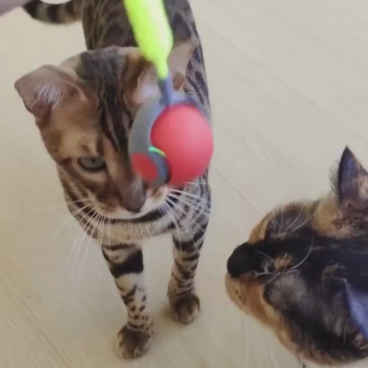 Pelota inteligente Correcaminos