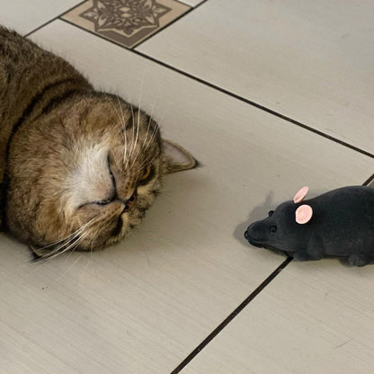 Ratón teledirigido Ratatouille